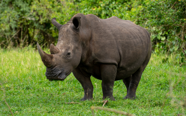 LAKE MBURO NATIONAL PARK & KULTURTOURISMUS DER BANYANKORE - Image 5