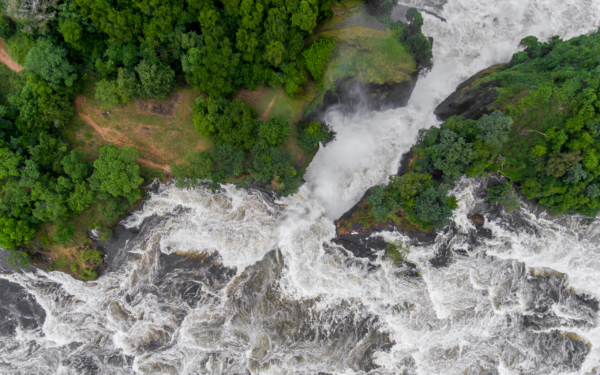MURCHISON FALLS UND NASHORN-TRACKING