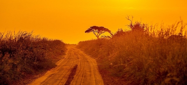 Murchison Falls National Park - Image 10