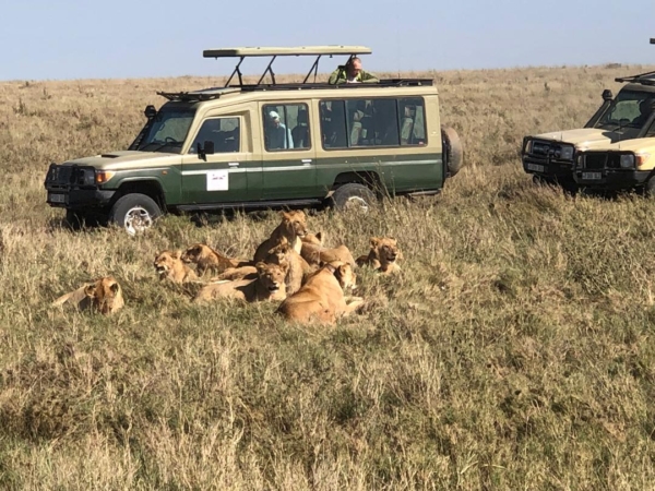 Serengeti- Where the Wild Roars loudest- 6 Days Trip! - Image 4