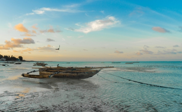 africa zanzibar beach tanzania 5135407