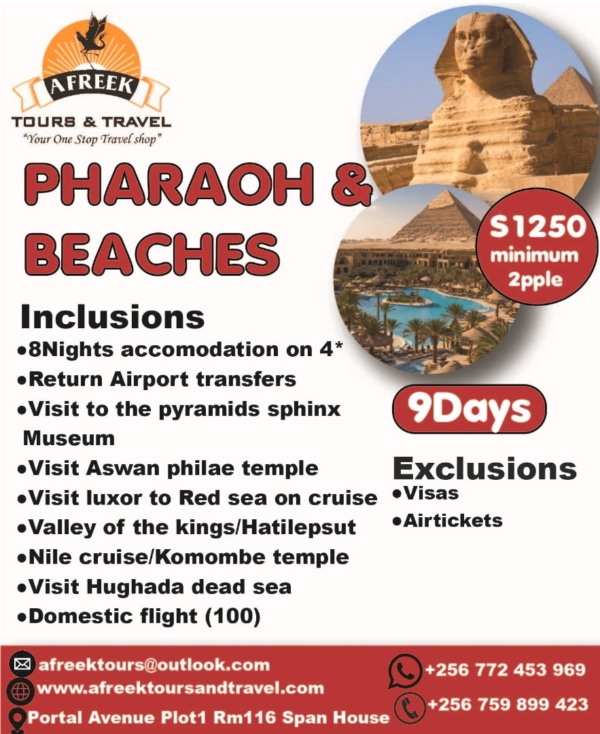 PHARAOH & THE BEACHES