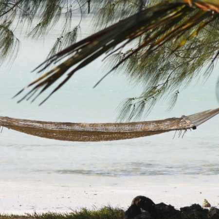 hammock zanzibar vacations 2676646