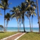 zanzibar sea palms tanzania 253862
