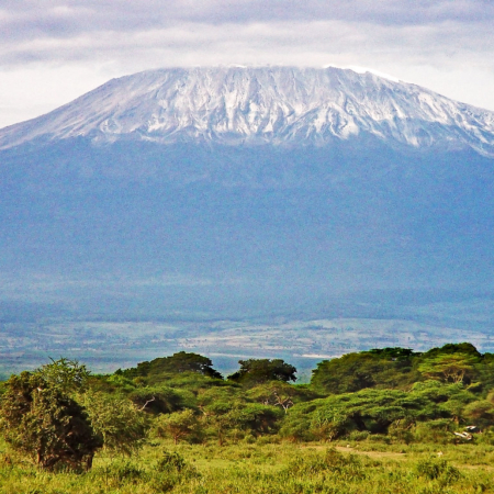 Mt Kilimanjaro 1