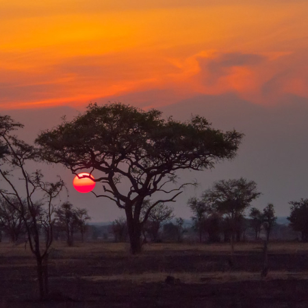 Serengeti Sunset